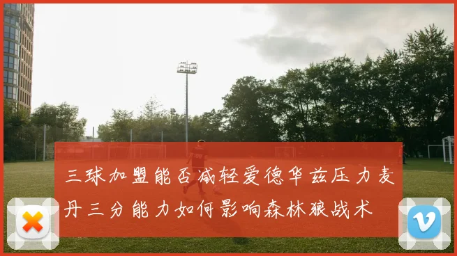 三球加盟能否减轻爱德华兹压力麦丹三分能力如何影响森林狼战术
