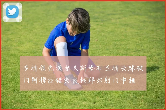 多特领先沃尔夫斯堡布兰特头球破门阿穆拉错失良机拜尔射门中框