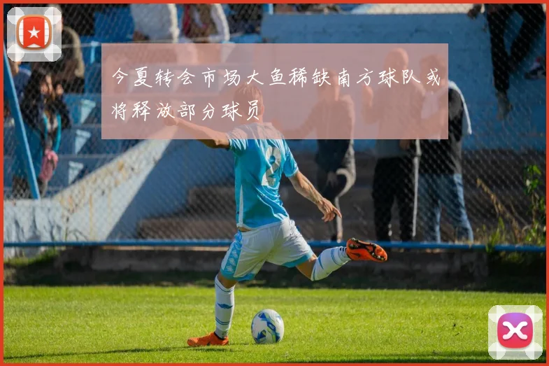 今夏转会市场大鱼稀缺南方球队或将释放部分球员